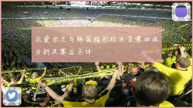 北爱尔兰与韩国精彩对决录像回放分析及赛后点评